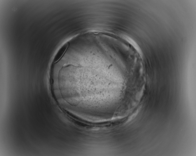 X0000093171146200710101207