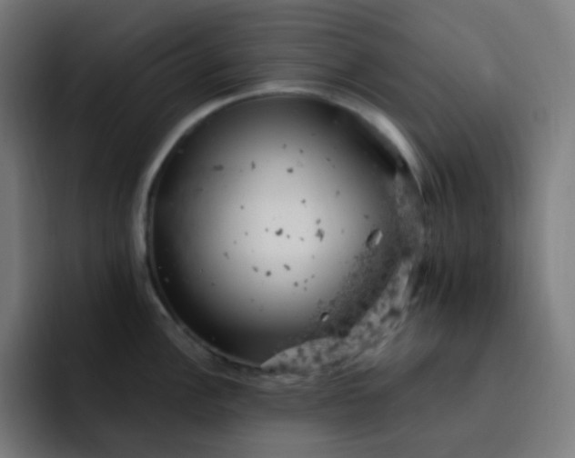 X0000093171148200710101208