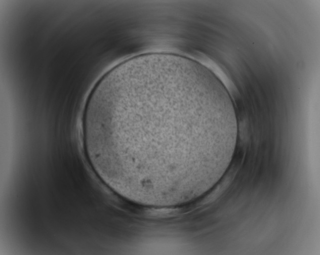 X0000093171150200710101208