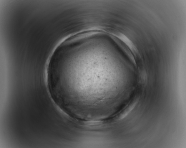 X0000093171151200710101208