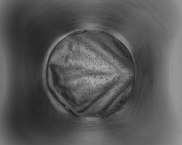 X0000093171152200710101208