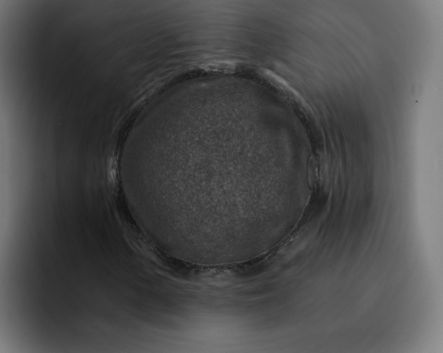 X0000093171154200710101207
