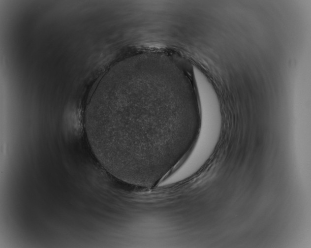 X0000093171156200710101207