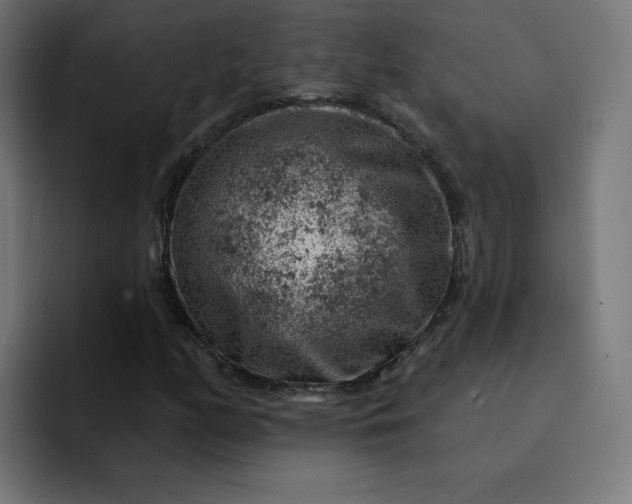 X0000093171158200710101207