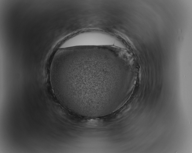 X0000093171160200710101207