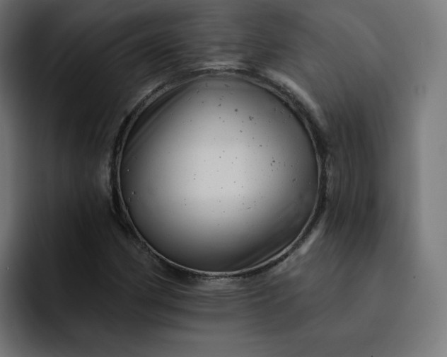 X0000093171162200710101207