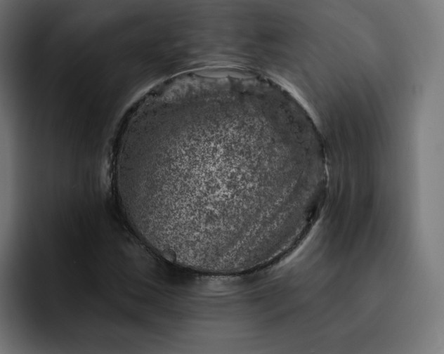 X0000093171163200710101207