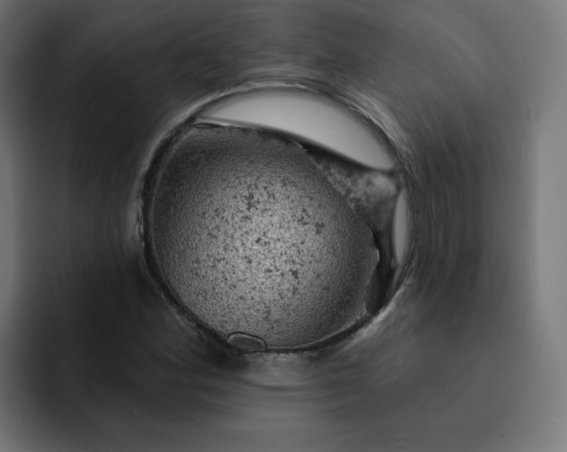 X0000093171164200710101207