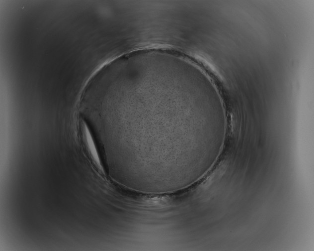 X0000093171165200710101207
