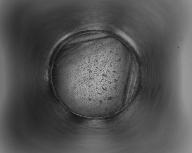 X0000093171166200710101207