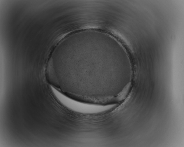 X0000093171169200710101207