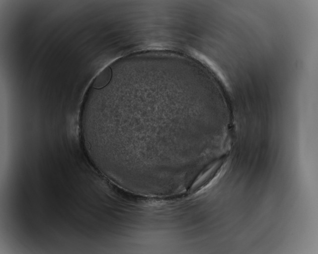 X0000093171170200710101207