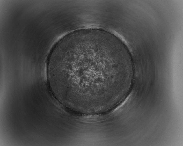 X0000093171171200710101207