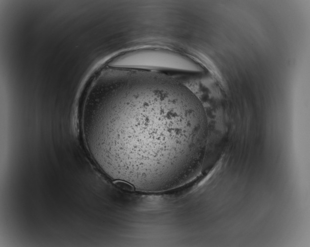 X0000093171172200710101207