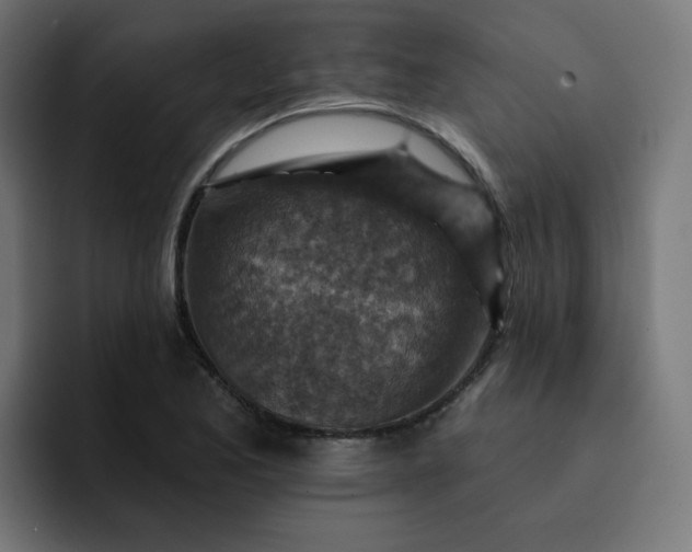 X0000093171173200710101207