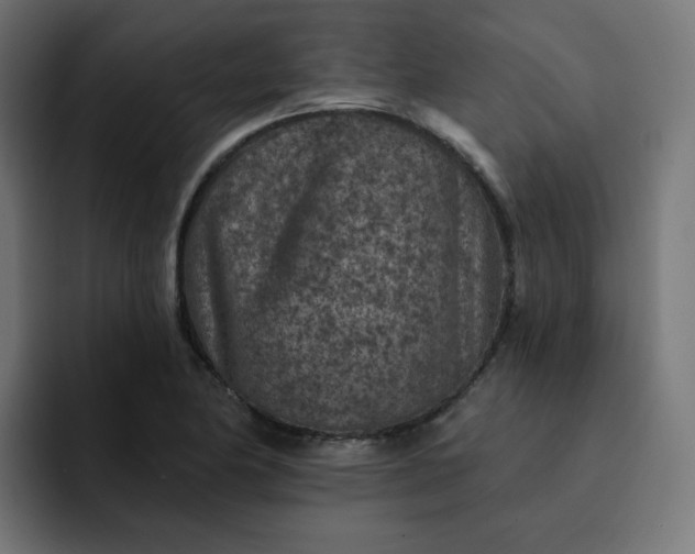 X0000093171174200710101207