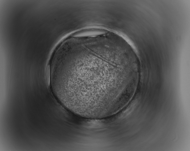 X0000093171175200710101207