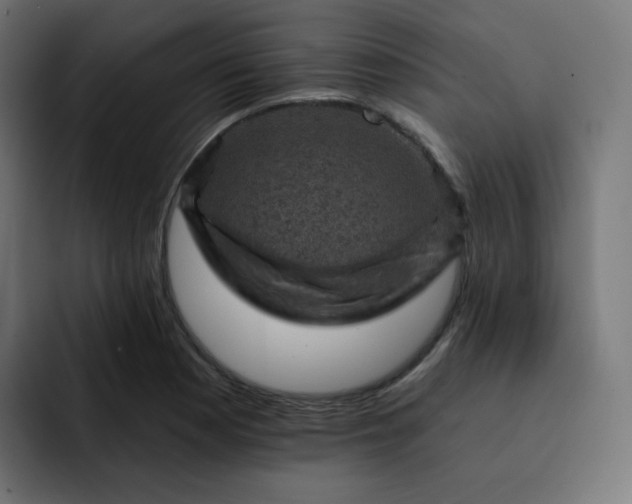 X0000093171177200710101207
