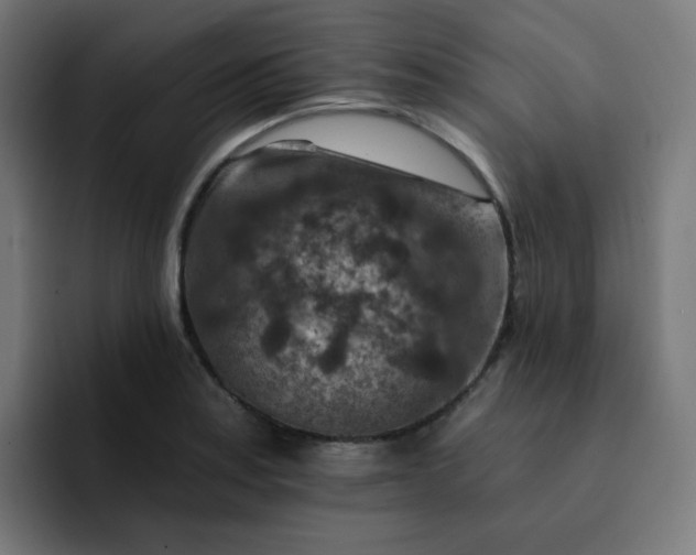 X0000093171179200710101207