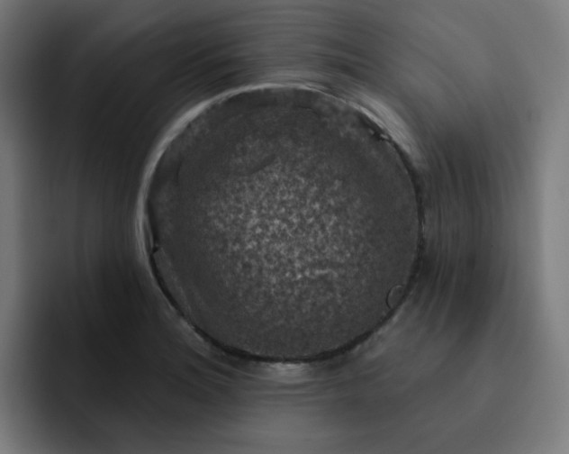 X0000093171180200710101207