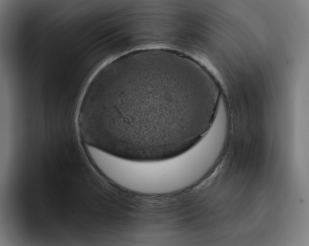 X0000093171181200710101207