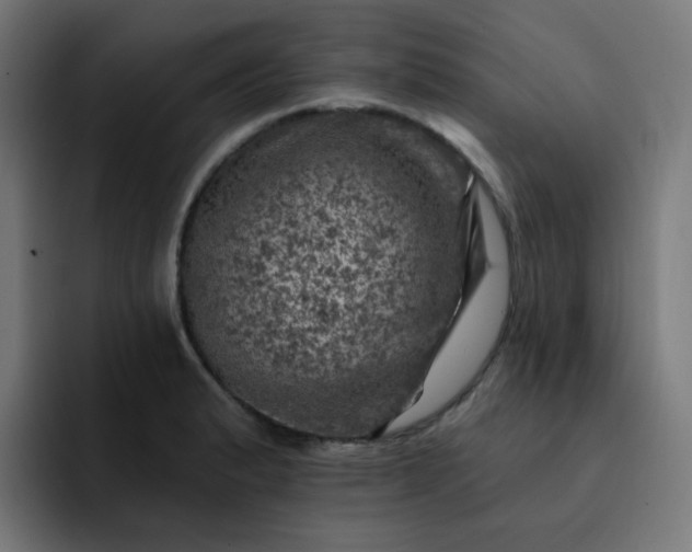 X0000093171183200710101207