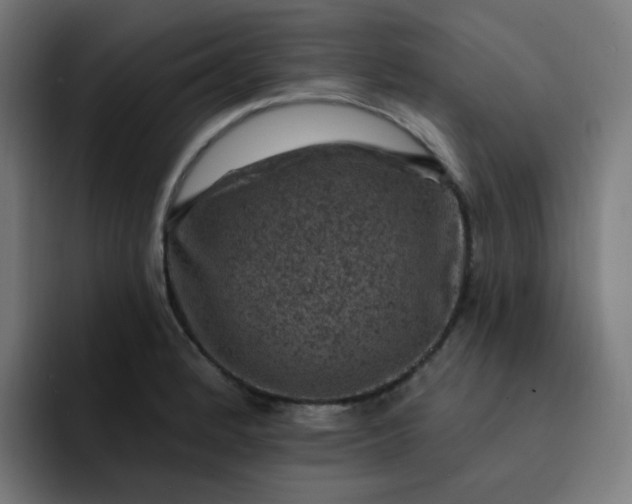 X0000093171184200710101207