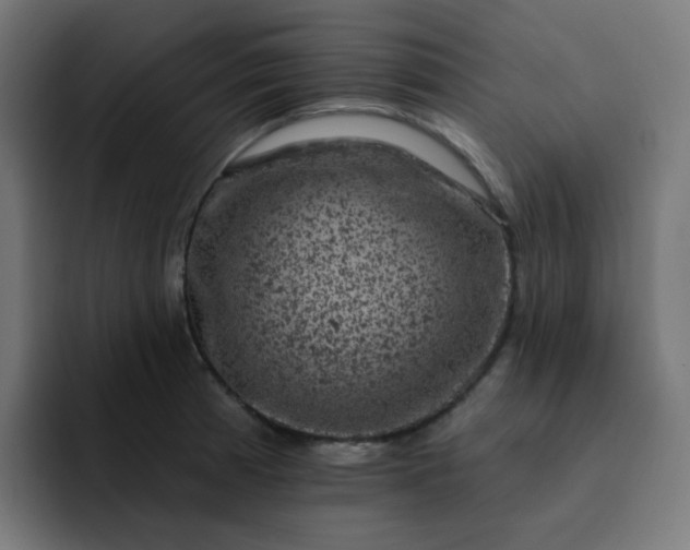 X0000093171185200710101207
