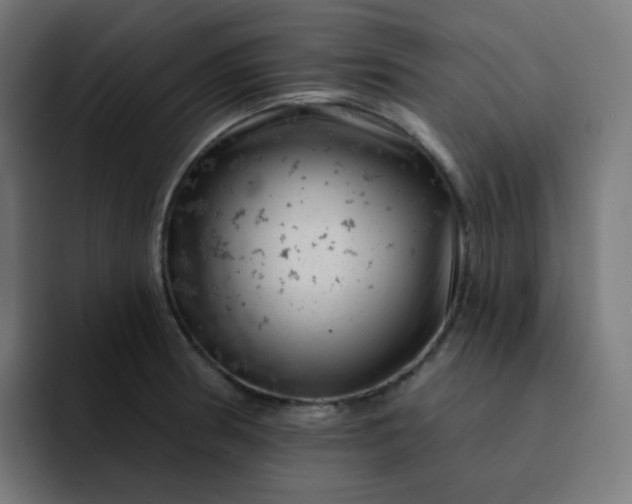 X0000093171186200710101207