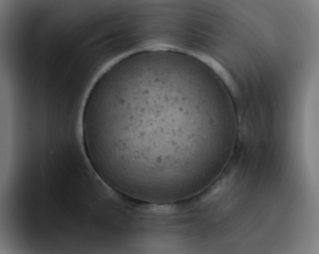 X0000093171191200710101207