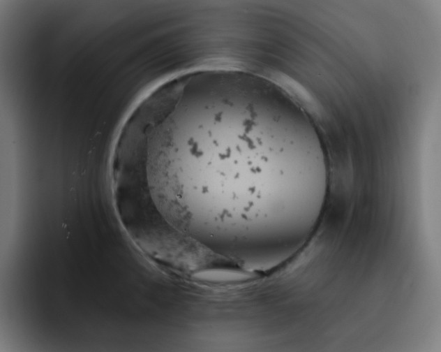 X0000093171192200710101207