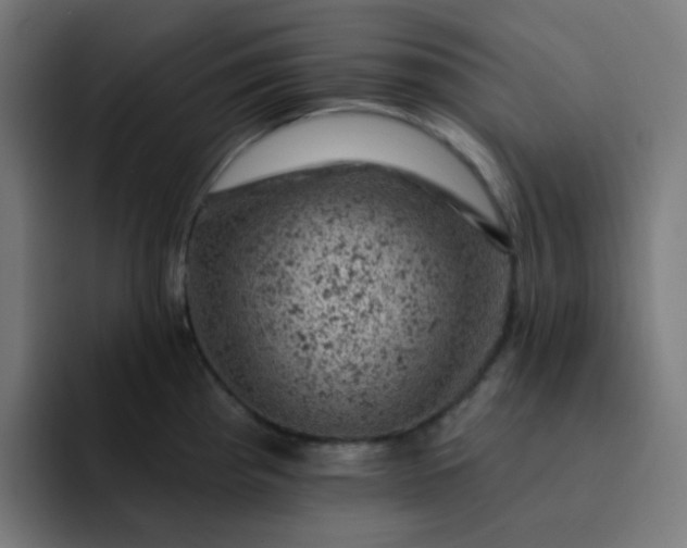 X0000093171193200710101207