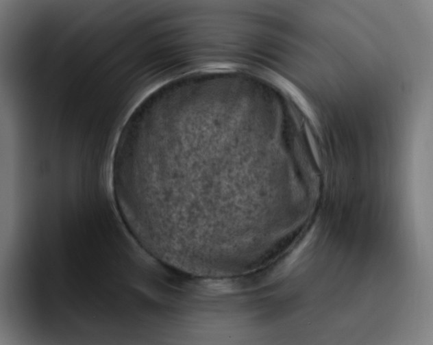 X0000093171194200710101207