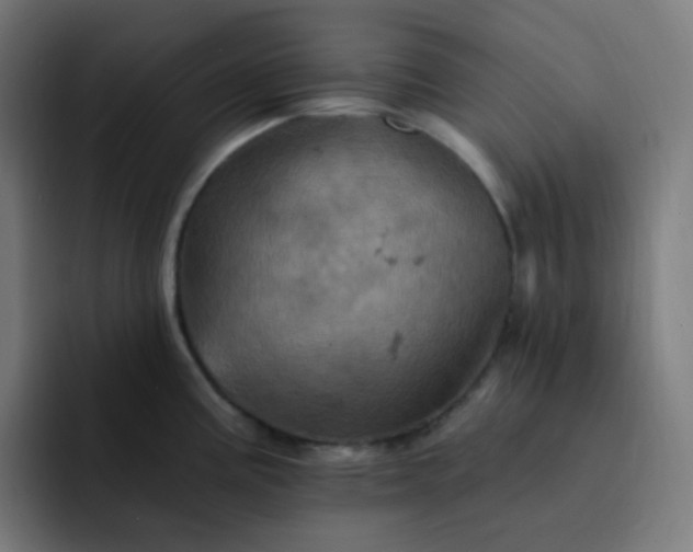 X0000093171195200710101207