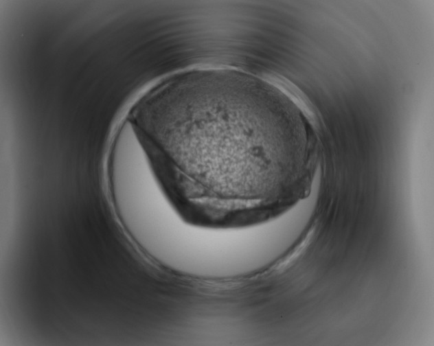 X0000093171196200710101206
