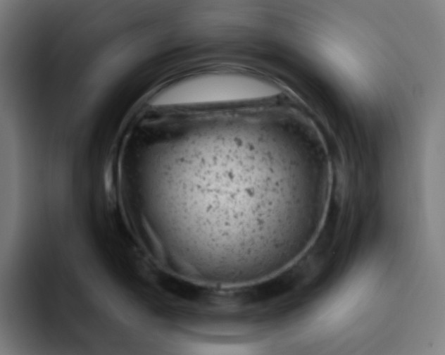 X0000093171198200710101206