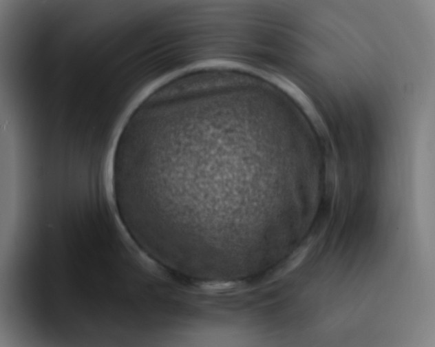 X0000093171199200710101206