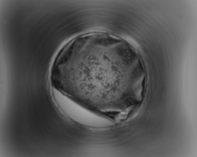 X0000093171200200710101206