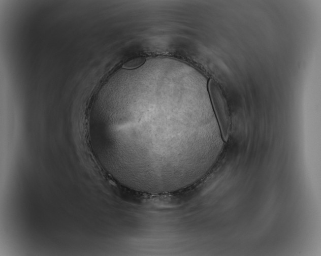 X0000093171201200710101206