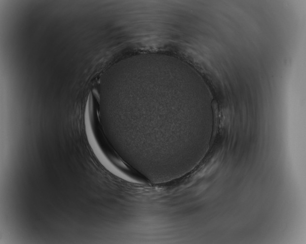 X0000093171202200710101206