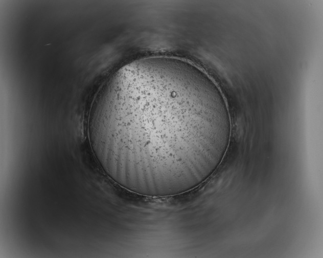 X0000093171205200710101206