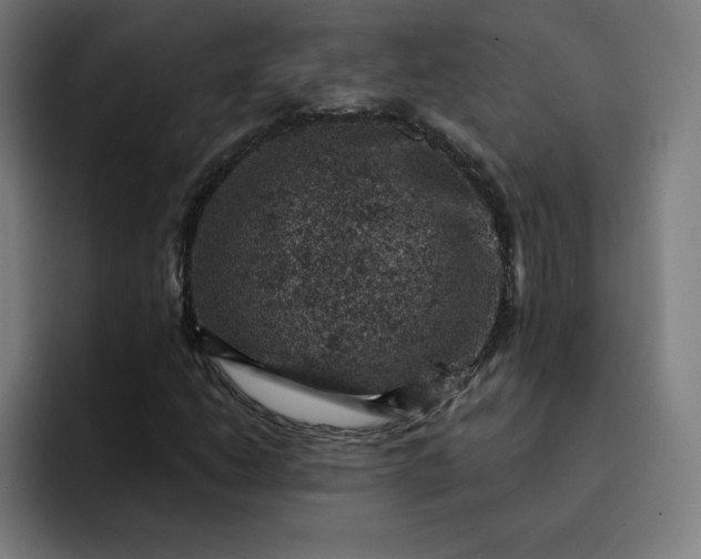 X0000093171206200710101206