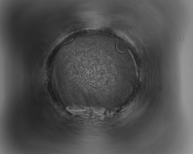 X0000093171208200710101206