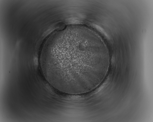 X0000093171209200710101206