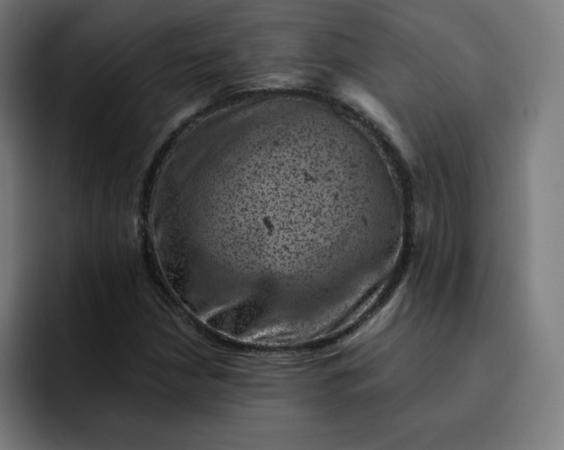 X0000093171210200710101206
