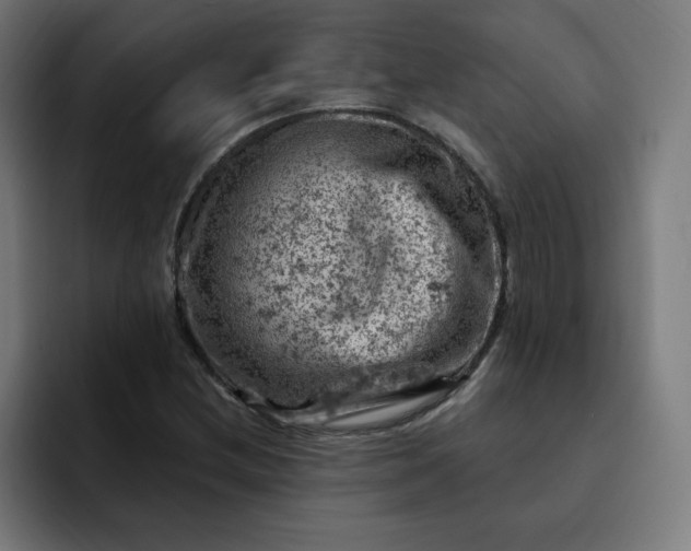X0000093171212200710101206