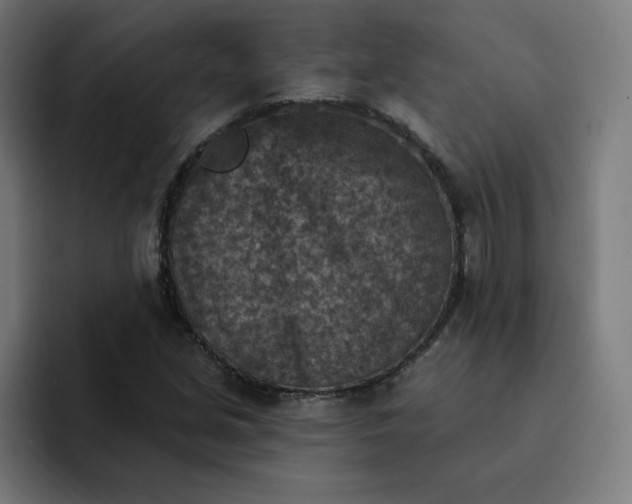 X0000093171213200710101206