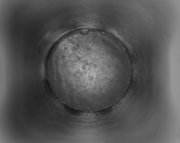 X0000093171215200710101206