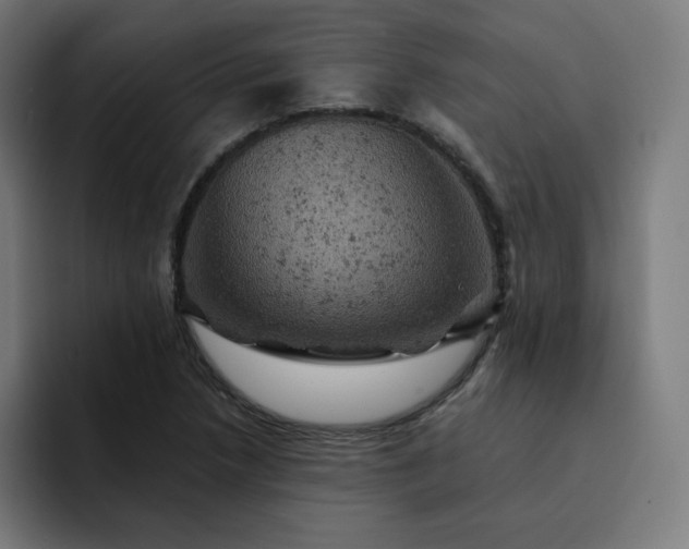 X0000093171218200710101206