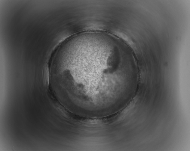 X0000093171219200710101206